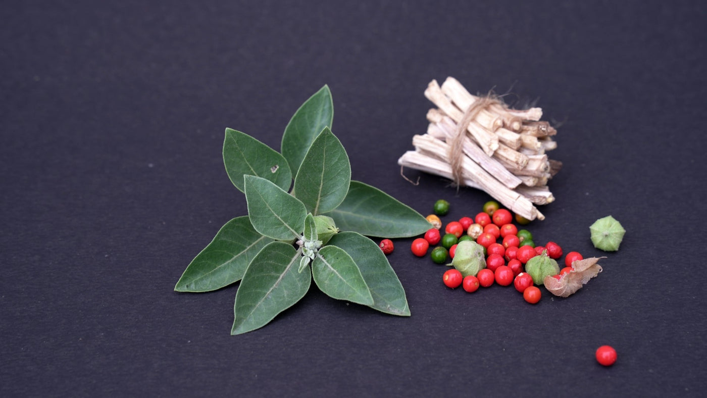 Ashwagandha Gummies: Uses & Benefits
